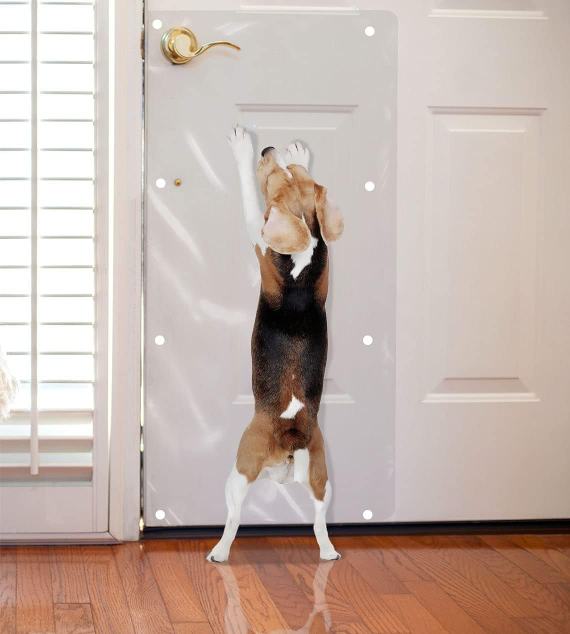The Original LAMINET Deluxe Dog Scratch Shield - Protect Your Doors & Walls with Our Deluxe Heavy-Duty Flexible Plastic Dog Scratch Shield - (36L X 16W - INCHES)