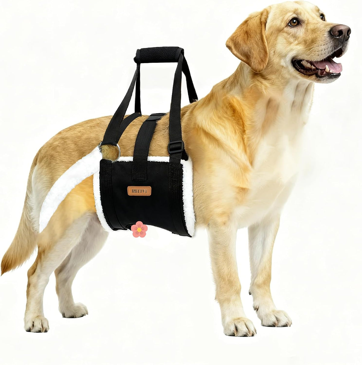 Dog Lift Harness Sling for Large Dogs - Adjustable Rear Leg Support with Padding & No-Slip Back Fixed Buckle, Hip Dysplasia/Acl/Tplo Surgery Recovery Aid, Dog Harness for Injured,Disabled/Senior Dogs