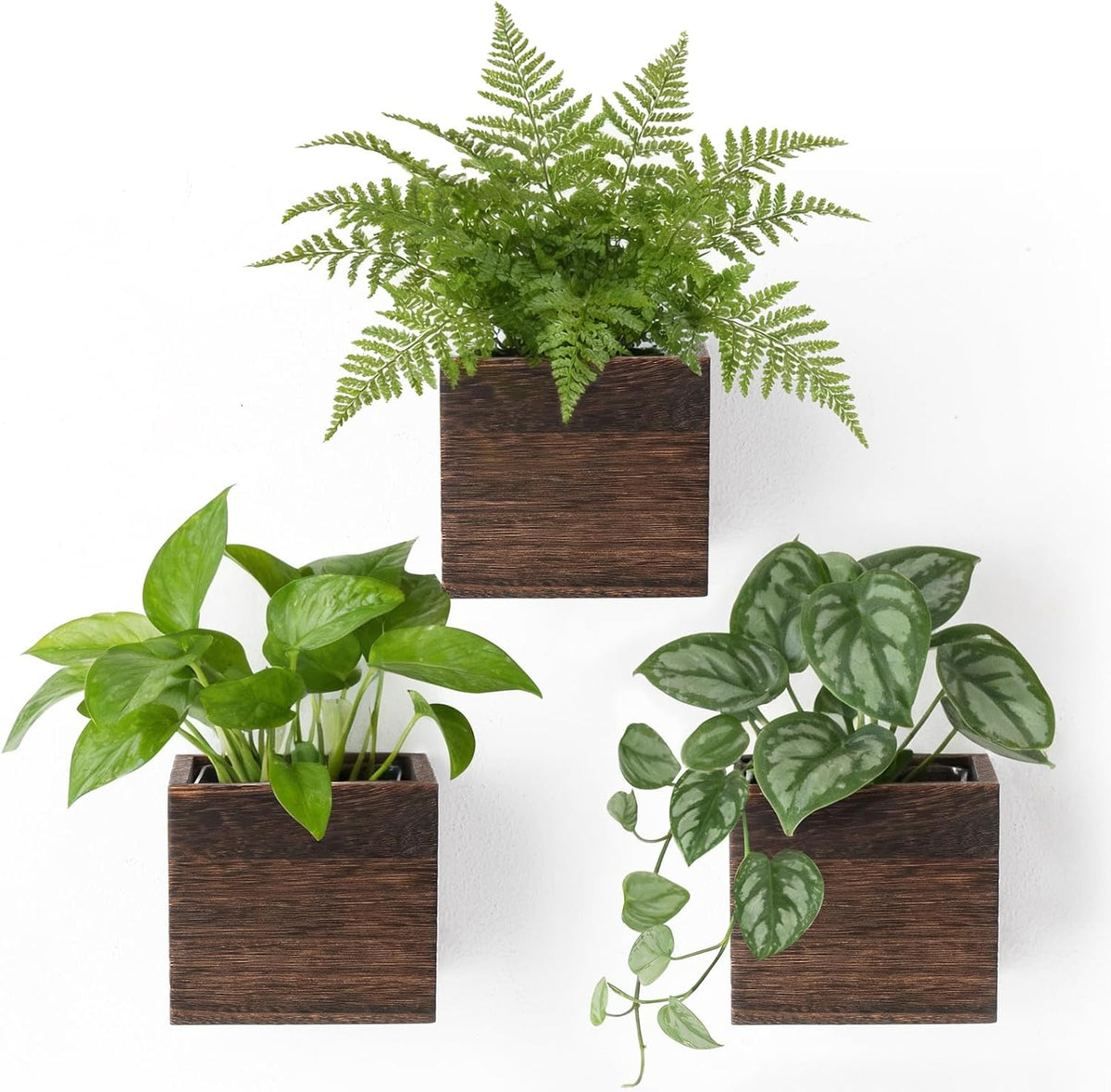 Dahey Small Wall Hanging Planters 3 Pack 4 Inch Wood Pot with Plastic Liner