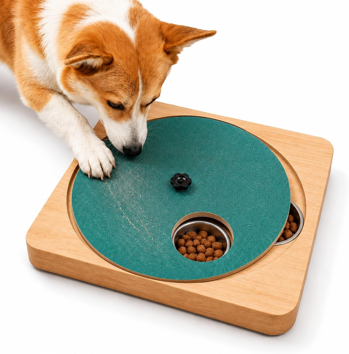 Adjustable Dog Nail Scratch Board System with Replaceable Sandpaper (Set)