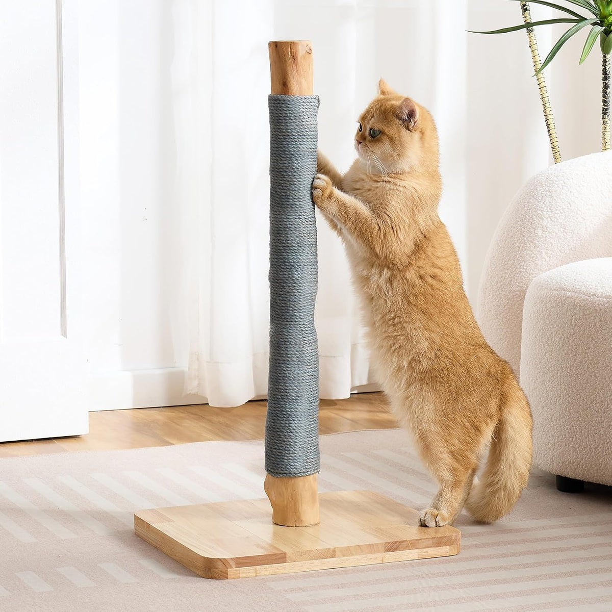 29" Tall Solid Wood Cat Scratching Post for Indoor Cats, Extra Stable Heavy Base, Natural Sisal Scratcher with Hanging Ball, Furniture Protector for Kittens & Adult Cats, Grey