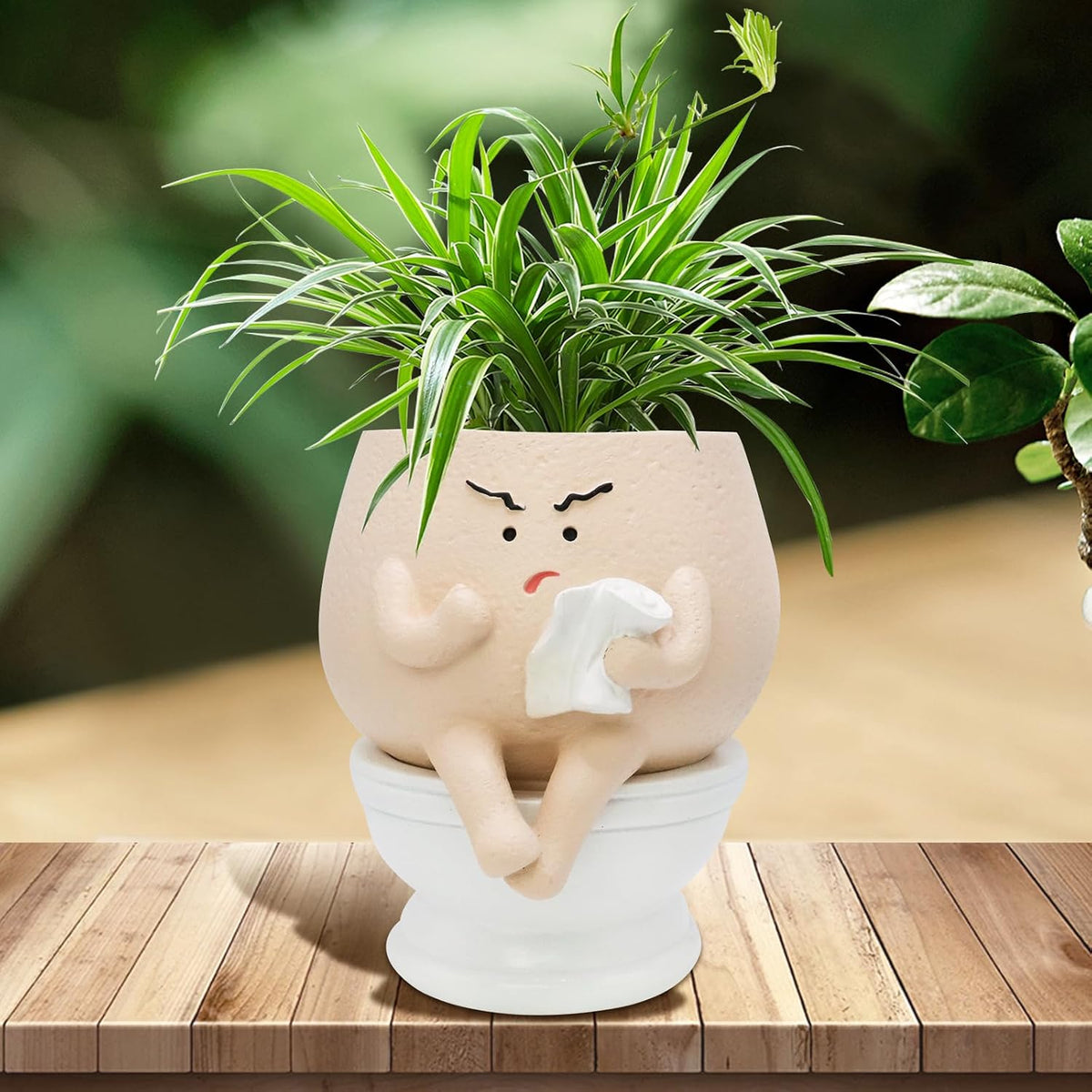 Funny Toilet Plant Pot Self Watering Face Planter for Indoor Plants