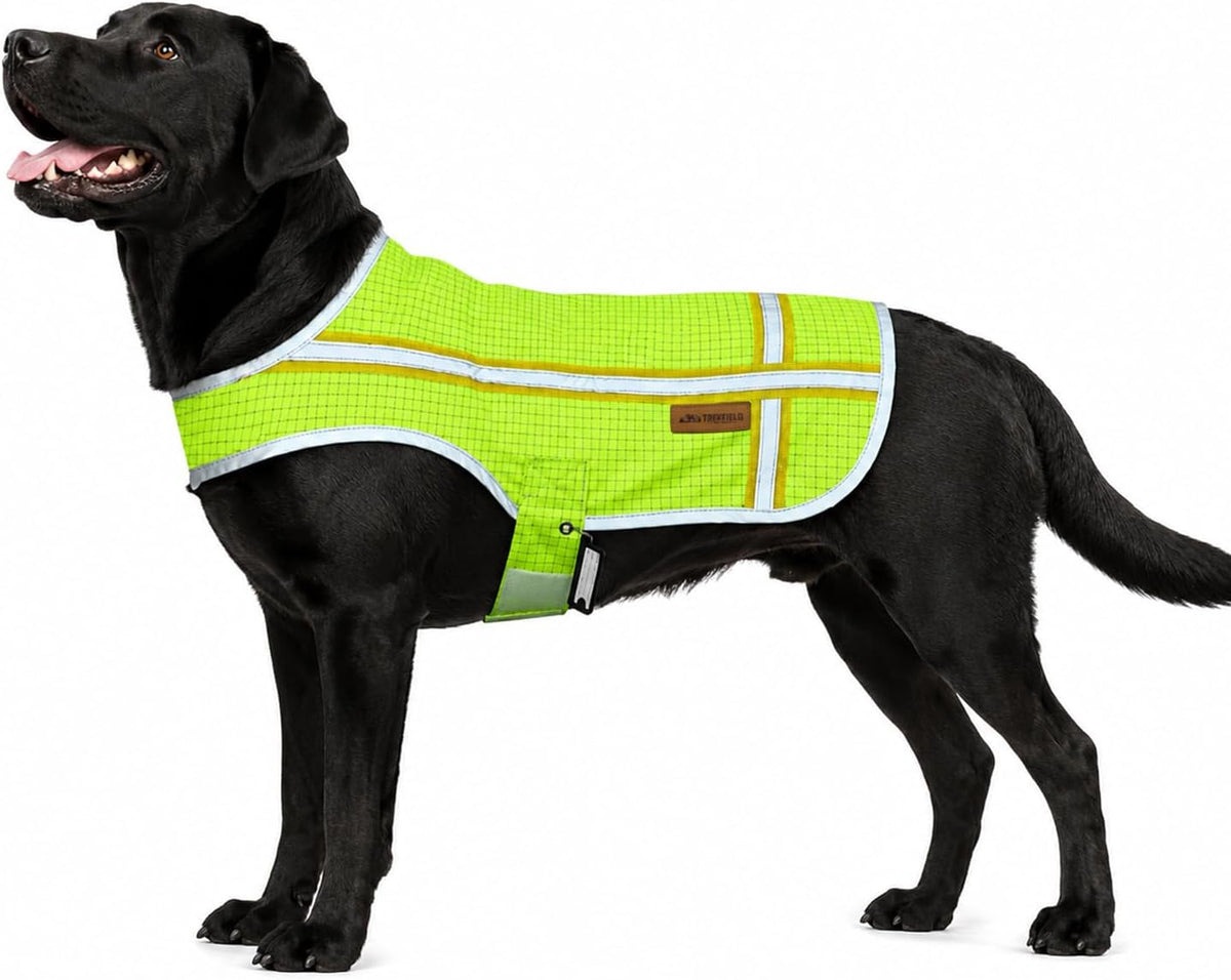 Reflective Dog Safety Vest with Built-In ID Card,Hi-Vis Green:Xxxxl
