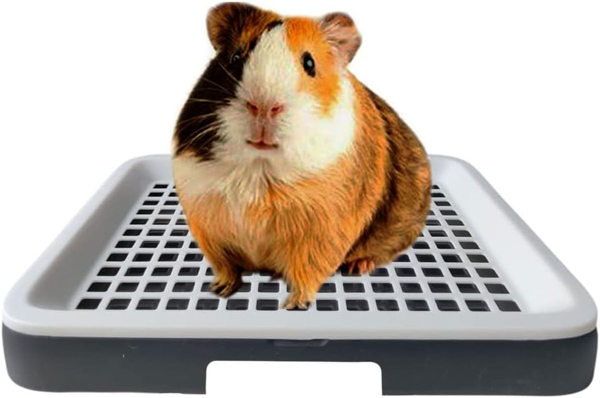 Guinea Pig Litter Box, Small Animal Cage Potty Tray, Detachable Grid Pan
