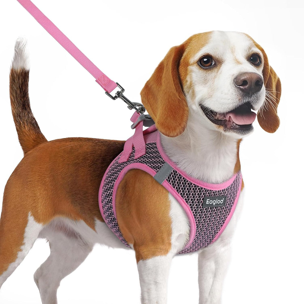 Eagloo Small Dog Harness and Leash Set, Step in Medium Small Puppy Pet Vest