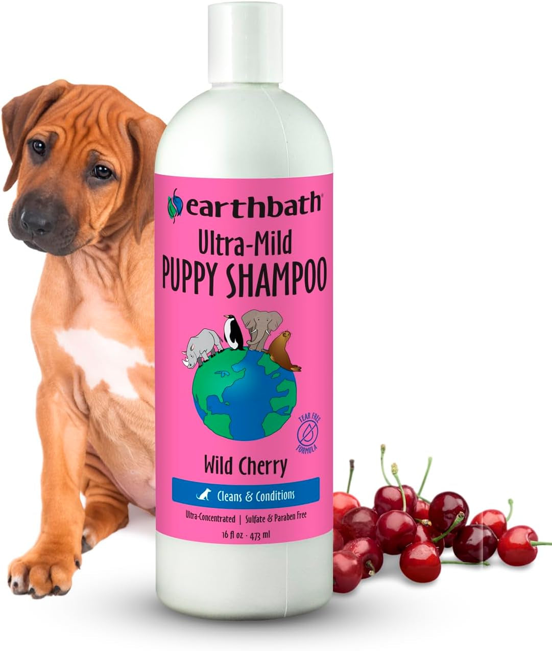 Earthbath Ultra-Mild Wild Cherry Puppy Shampoo, Made in USA, 16 Oz (1 Pack)