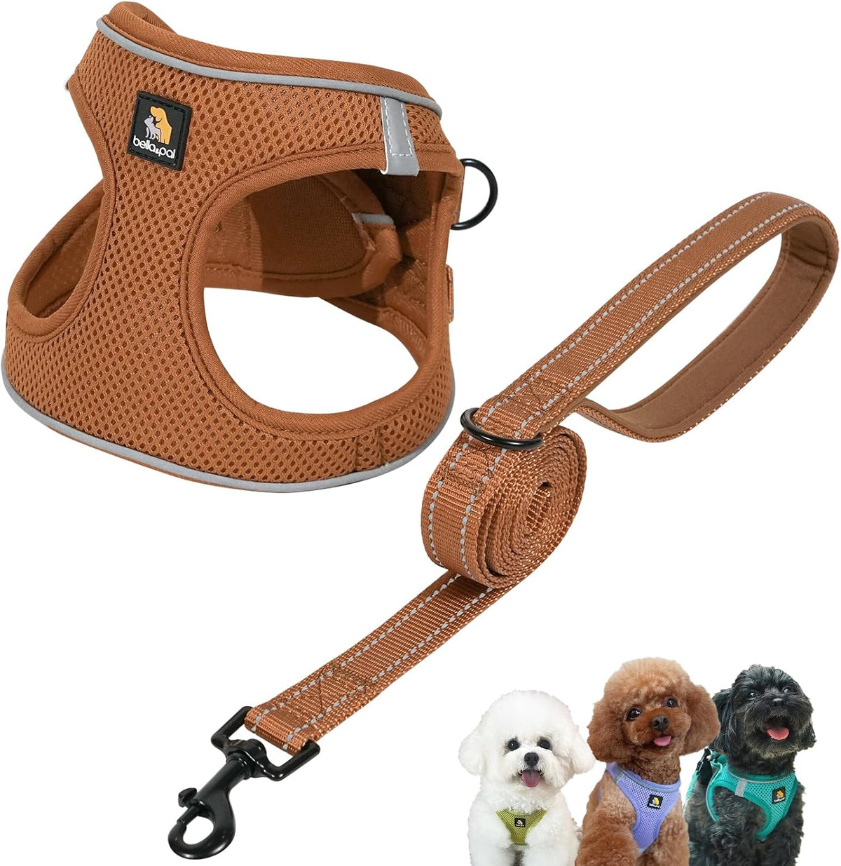 Step in Puppy Harness and Leash Set (Mokka, S)