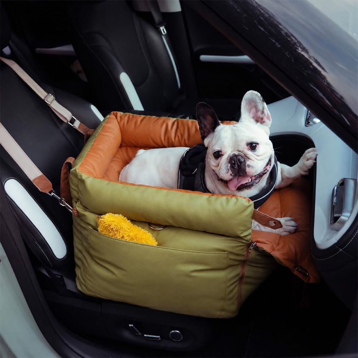 Dog Car Seat for Dogs & Cats, Waterproof Leather Booster Seat