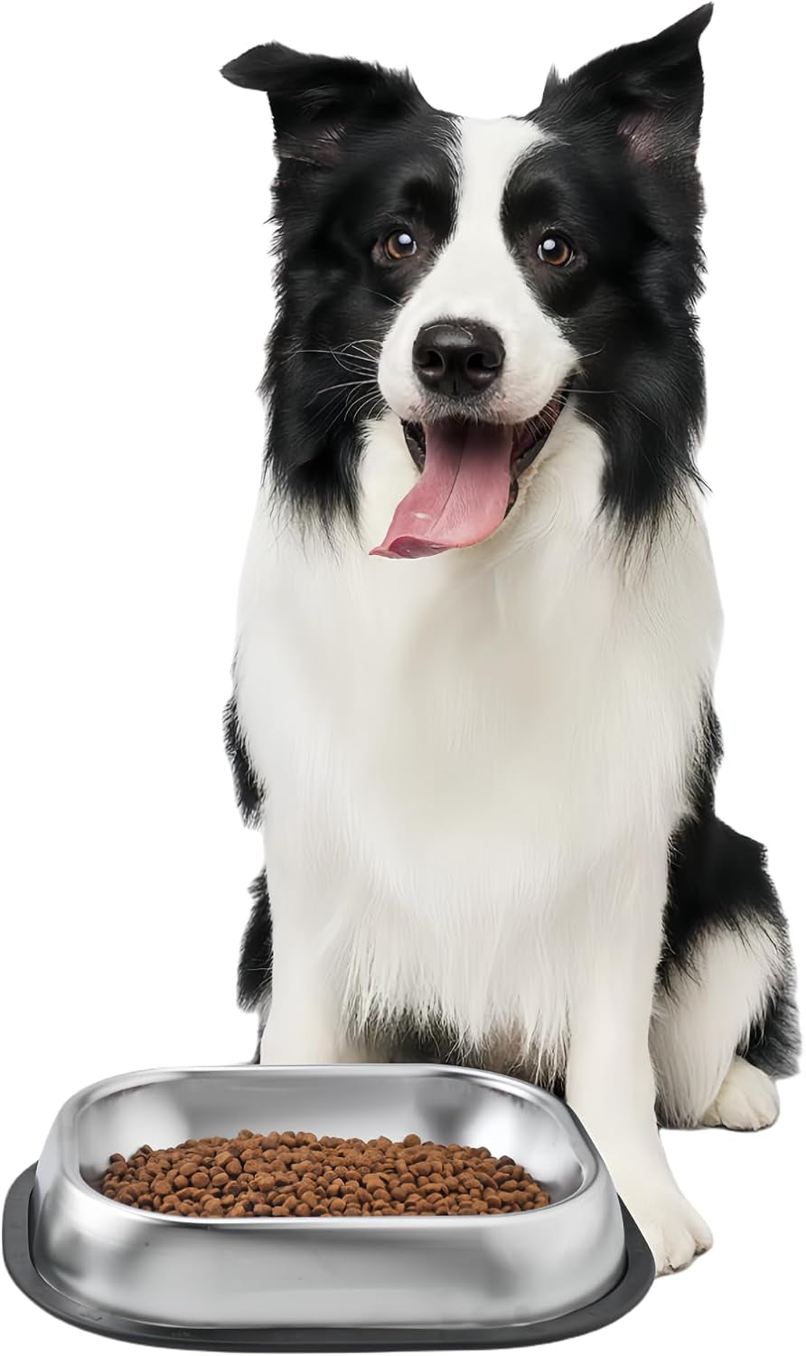 304 SUS Metal Shallow Dog Cats Dishes,With Cleaning Kit,1 Bowl