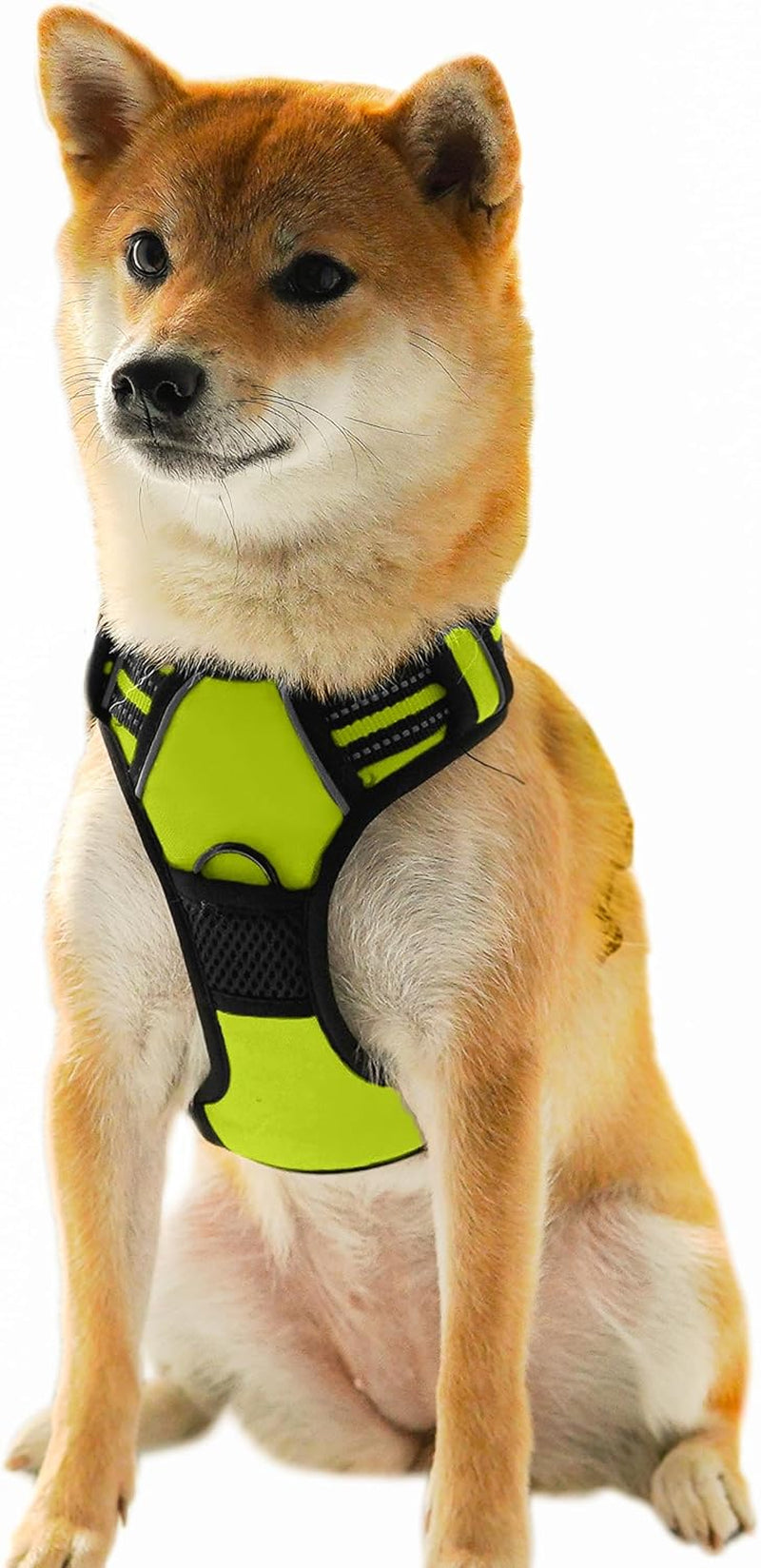 Ziggy Pet Dog Harness Adjustable Nylon Mesh Vest with Leash Clips (Green, Small)
