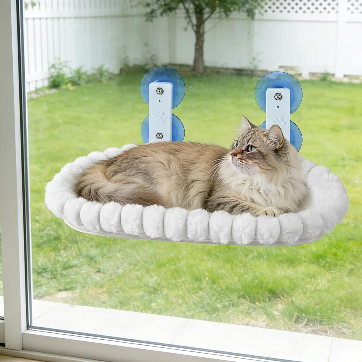 Yooxarmor Foldable Cat Window Perch, Cat Bed with Strong Suction Cups & Metal Frame, Window Hammock for Indoor Large Small Cats, Oval