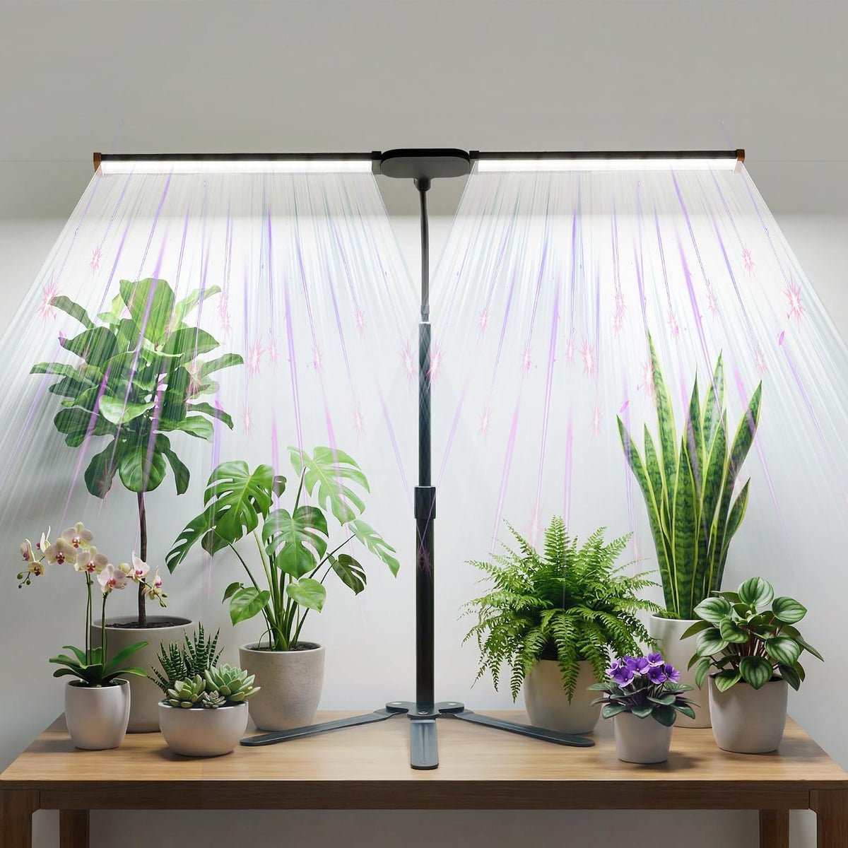 Grow Light for Indoor Plant, 6000K Full Spectrum Growing Plant Lamp