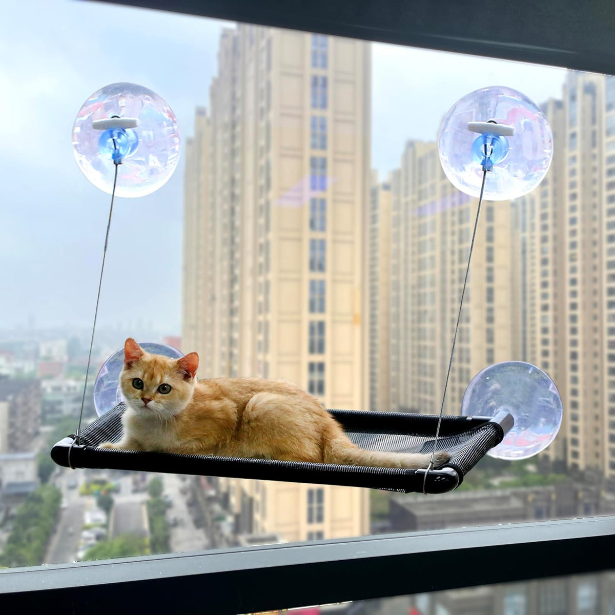 Cat Hammock for Wall with 4 Suction Cups, Cat Window Perch, Space Saving and Easy Mounted Large Cats Bed, Pet Resting Safety Holds (Medium)