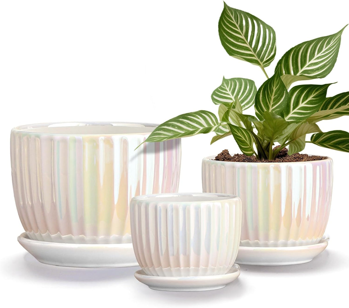 Plant Pots,Ceramic Flower Pots with Drainage Holes & Saucer Set of 3(Pearl)