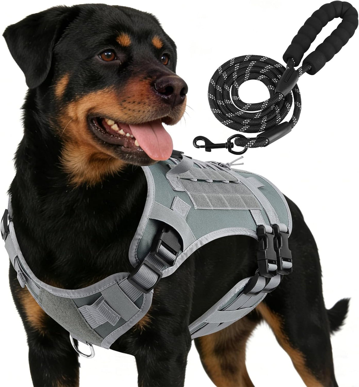 No Pull Dog Harness and Leash Set, Tactical Adjustable for Small Sized Dog, Easy Walk Soft Vest Padded Oxford for Training Hiking (Gray-S)