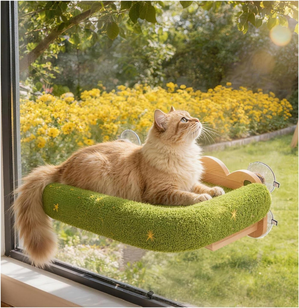 Cat Window Perch,Soft Cushion with Five Powerful Suction Cups,Green