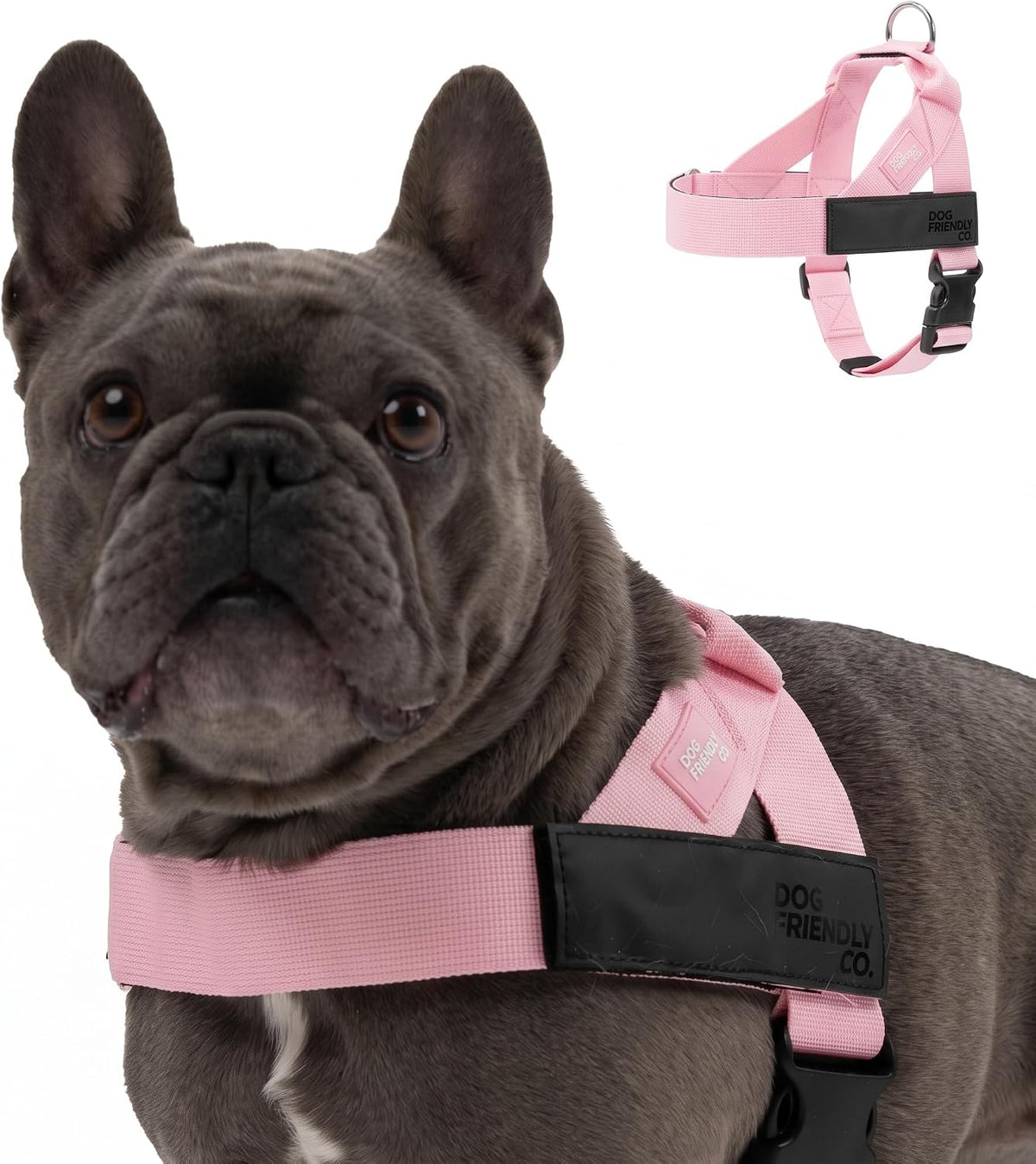 Dog Friendly Co. Dog Harness for Small Dogs (Pink, Small)