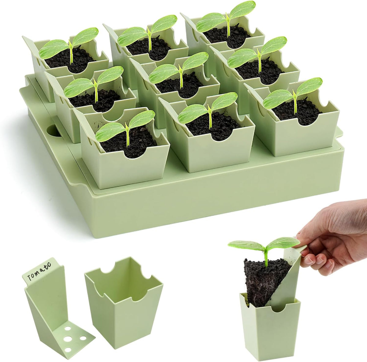 Seed Starter Tray with Lift-Out Handles for Easy Transplanting