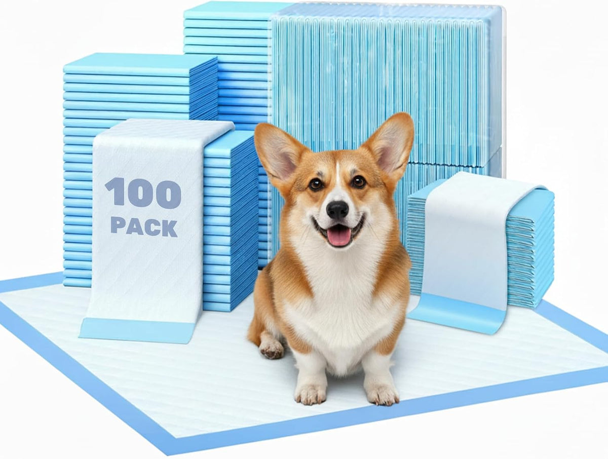 Fluffydream Super Absorbent Waterproof Dog and Puppy Pet Training Pad, Housebreaking Pet Pad,Blue (22"X22"(100Pcs))