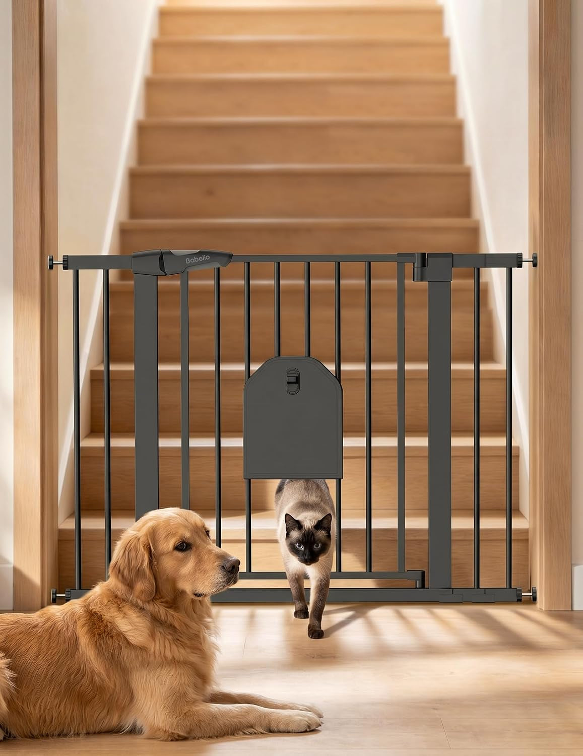 Babelio Auto Close Dog Gate with Cat Door, Catprivilege I, 29-43"