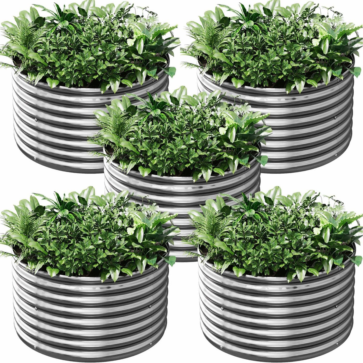 5 Pack 2X2Ft round Corrugated Galvanized Steel Raised Garden Bed Outdoor, Metal above Ground Garden Bed for Vegetables and Flowers, Raised Beds for Gardening-2X2Ftx10Inch