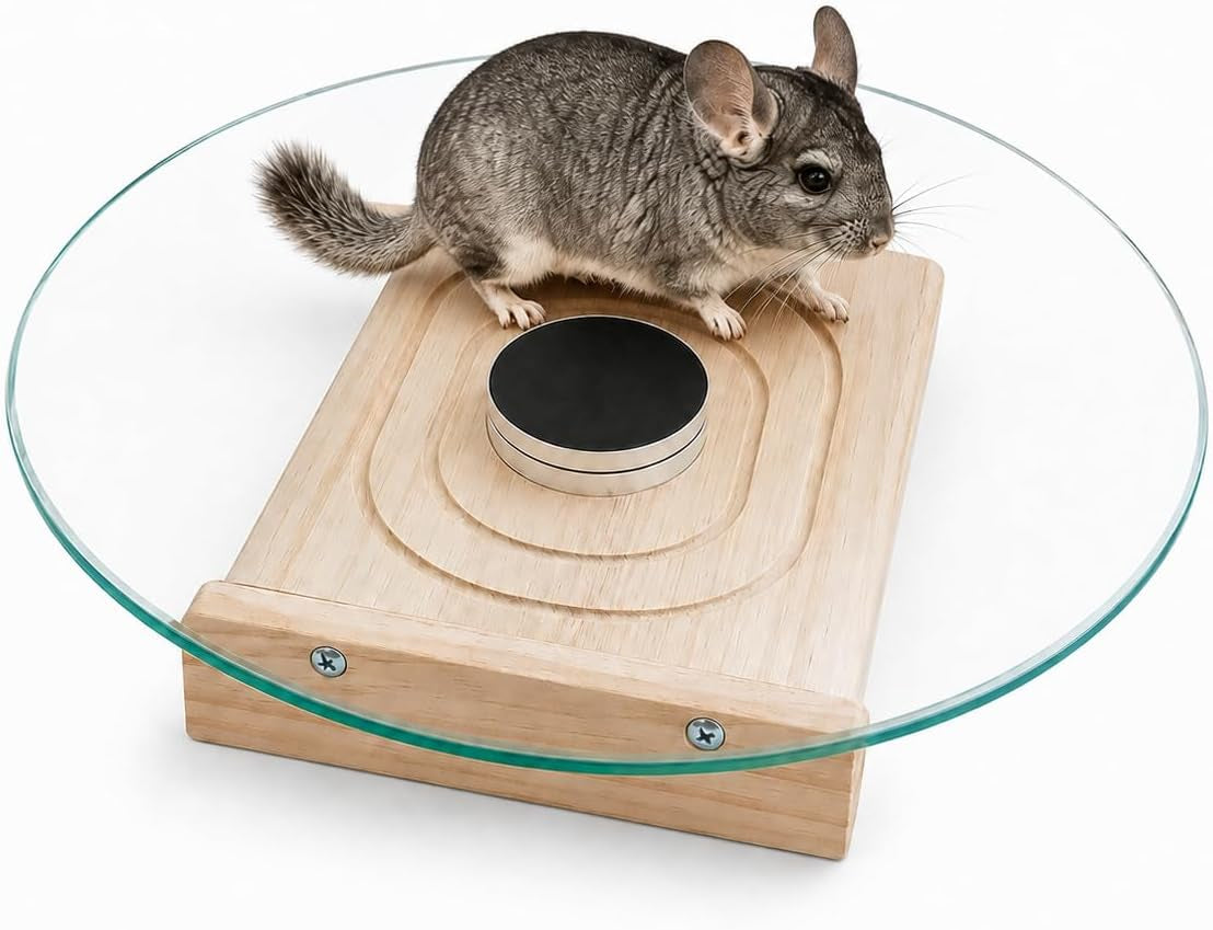 Glass Chinchilla Wheel - Quiet Exercise Wheel for Hamsters & Hedgehogs