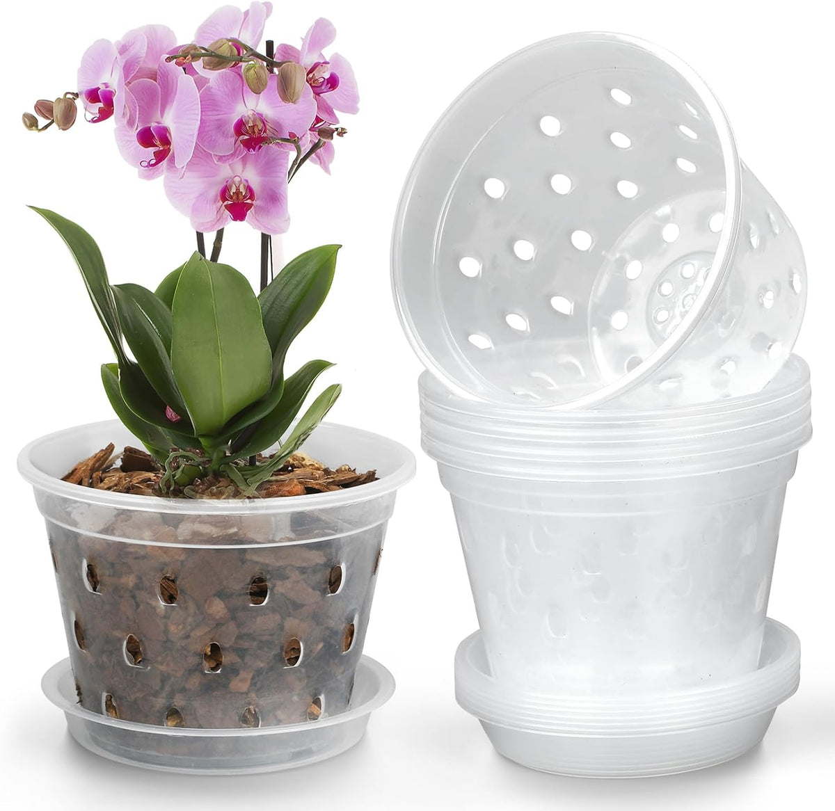 Orchid Pot, 8 Pack 6 Inch Clear Orchid Pots with Holes and Saucers