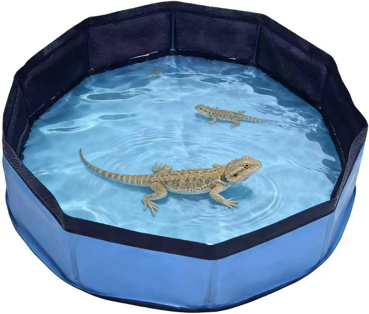 Eooqi Foldable Bearded Dragon Bathtub, Blue 19 X 3.5 in Pet Bath Pool,Collapsible Non-Slip Reptile Water Tub for Small Dogs, Cats & Turtles, Reinforced Bottom for Stability