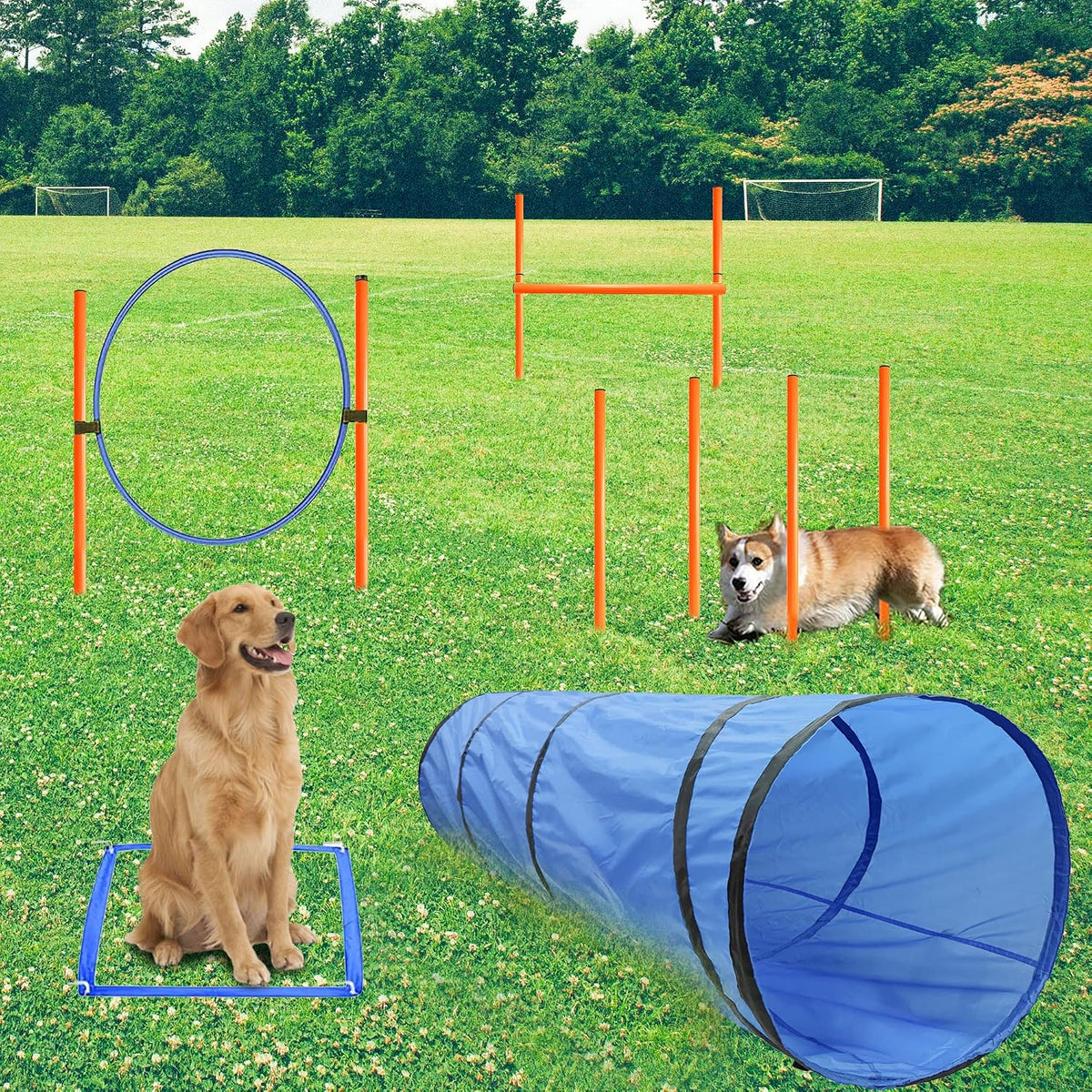 Dog Agility Training Equipment, Obstacle Agility Training Starter Kit for Doggie, Including Tunnel, 13 Weave Poles, Adjustable Hurdle, Jump Ring, Pause Box and Carrying Bag(Blue)