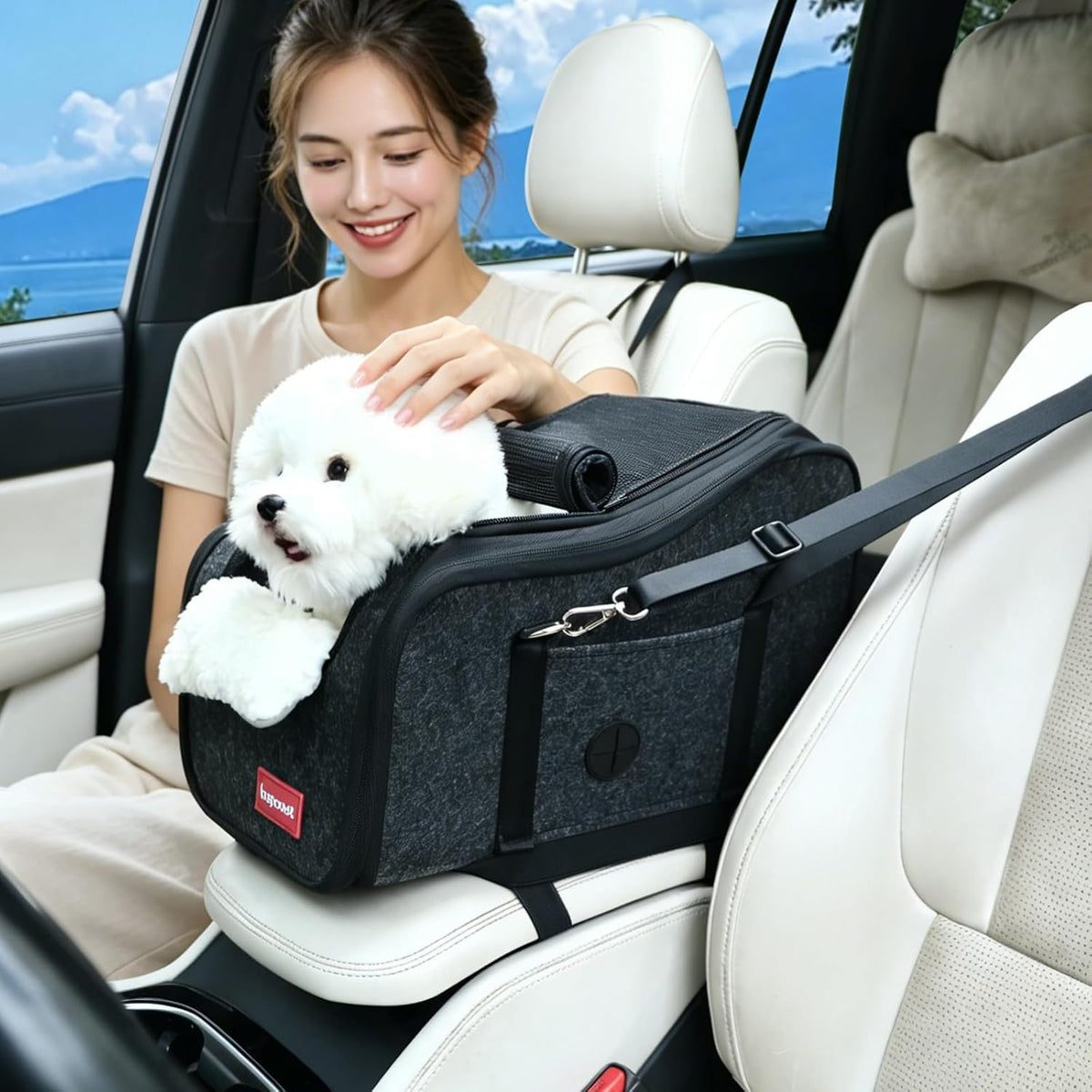 Center Console Small Dog Car Seat,Portable Pet Cat Puppy Booster Armrest Carseat up to 11Lbs,Equipped with a Breathable Protective Cover Net to Prevent Escape with Washable Fluffy Cushion and Pillow