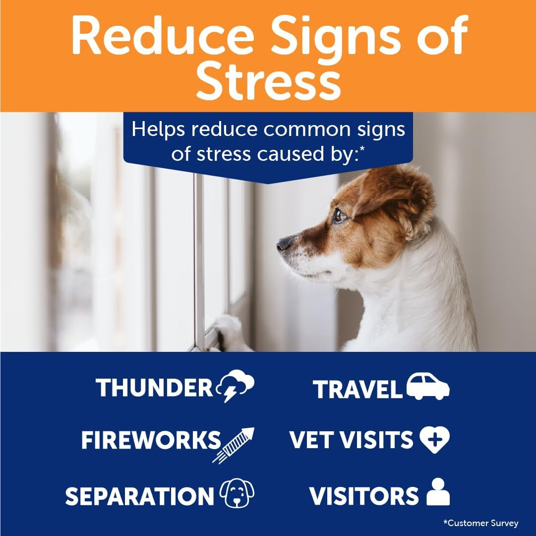 Thunderbites Dog Calming Chews, Thiamine, L-Tryptophan, Melatonin and Ginger, Can Help Relieve Stress from Separation, Storms, Fireworks & Travel (60 Count), Formerly Thunderwunders