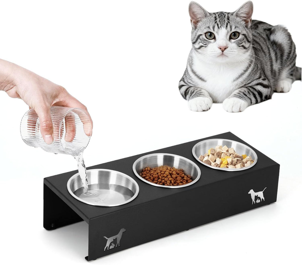 Elevated Cat Bowls, 15° Tilted Stainless Steel, 3 Pack, Anti-Vomit