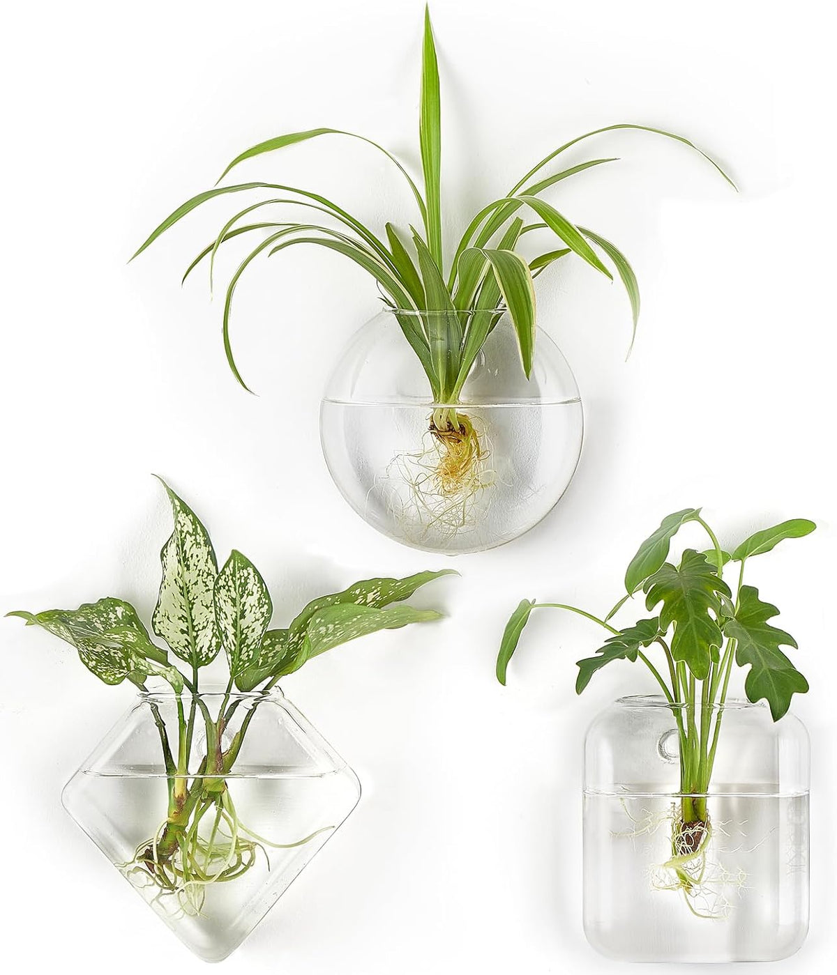 Mkono Wall Propagation Planters Hanging Glass Plant Vase Holder, 3 Pack