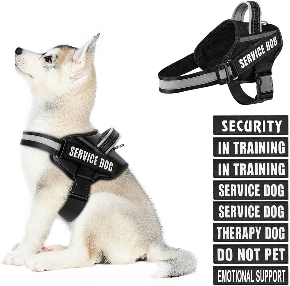 Dog Vest Harness and Patches Set, Animire in Training Service Dog Harness with 10 Dog Patches, Reflective Dog Vest with Handle for Small, Medium, Large, and Extra-Large Dogs