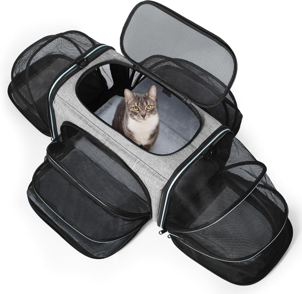 Cat Carrier,4 Sided Expandable Pet Carrier for Travel,Collapsible Soft-Sided Carriers with Removable Fleece Pad and Shoulder Straps,Airline Approved(17.5"X 11"X 11")