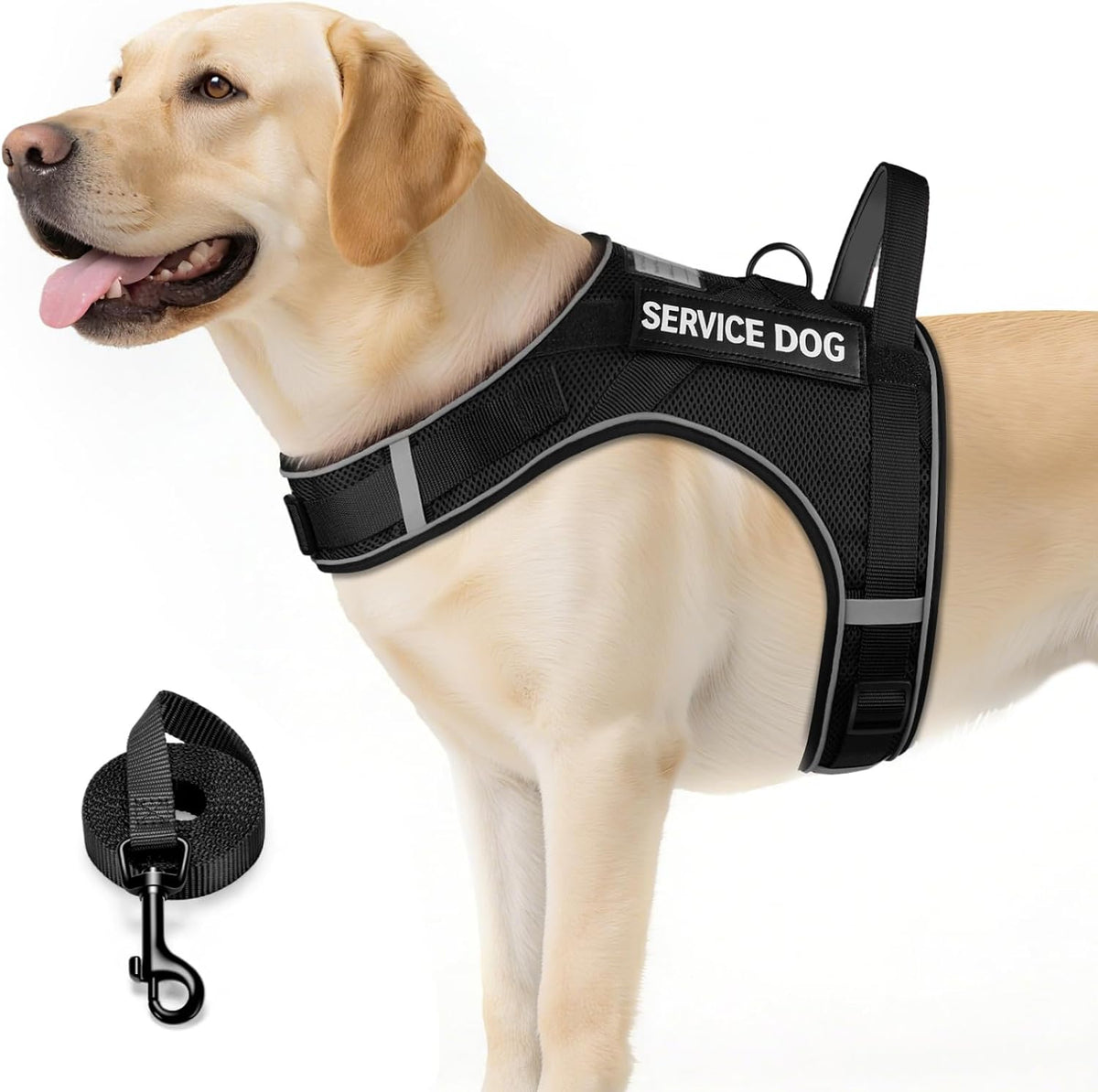 FAYOGOO Service Dog Vest for Large Dogs - Air Mesh Breathble Emotional Support Animal Vest with DIY Removable Patches - Dog Harness and Leash Set Adjustable Neck and Chest(Black,Xxl)