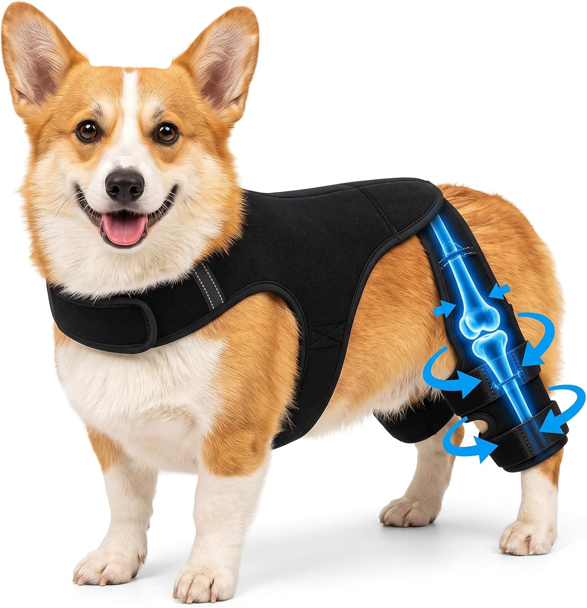 Dog Knee Braces for Back Legs – Double Hind Leg Support with Vest Harness for Both Rear Legs – Adjustable Non-Slip Brace for ACL, CCL, Luxating Patella & Arthritis, Senior Dog Mobility (S)