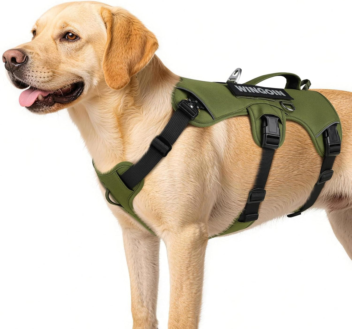 Escape Proof Dog Harness,No Pull for Large Dog with Handle,Green,Xl