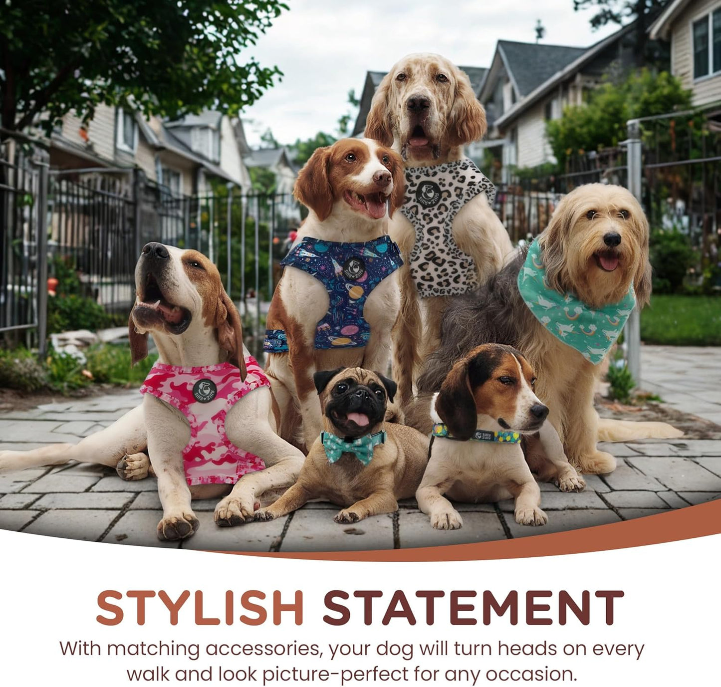 No Pull Harness and Leash Set - 6-In-1 Adjustable Vest Harness and Collars for Medium and Large Dogs. (Tile Unicorn, Extra Small)