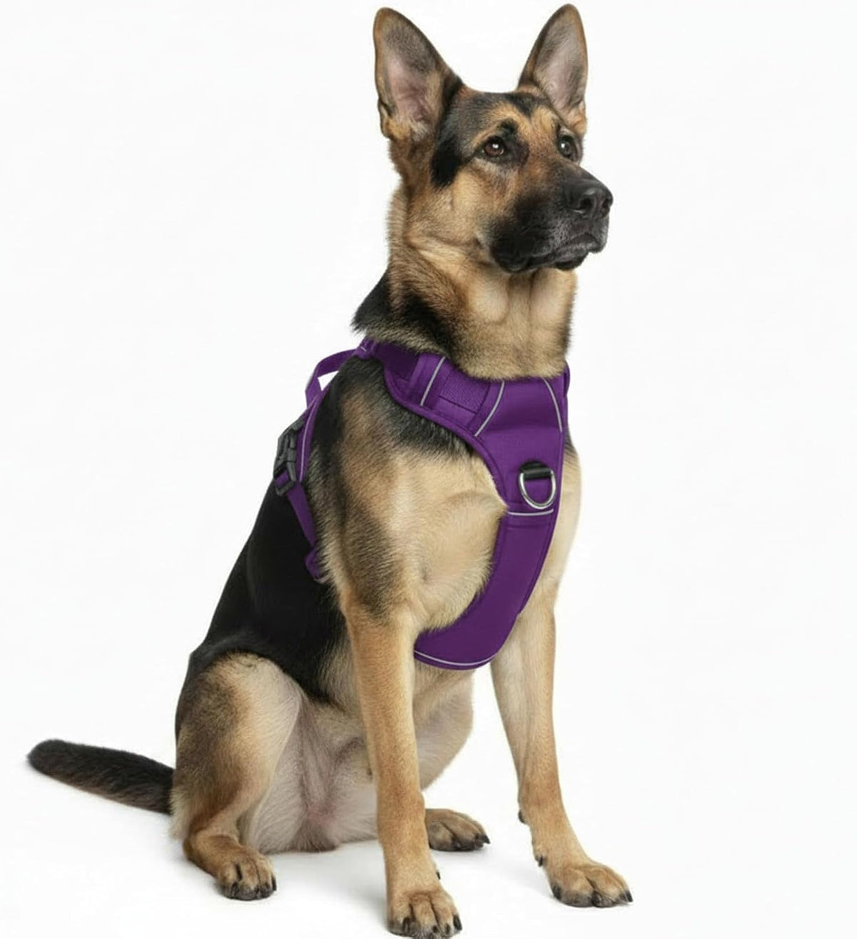 No Pull Dog Harness, Purple, Extra Large
