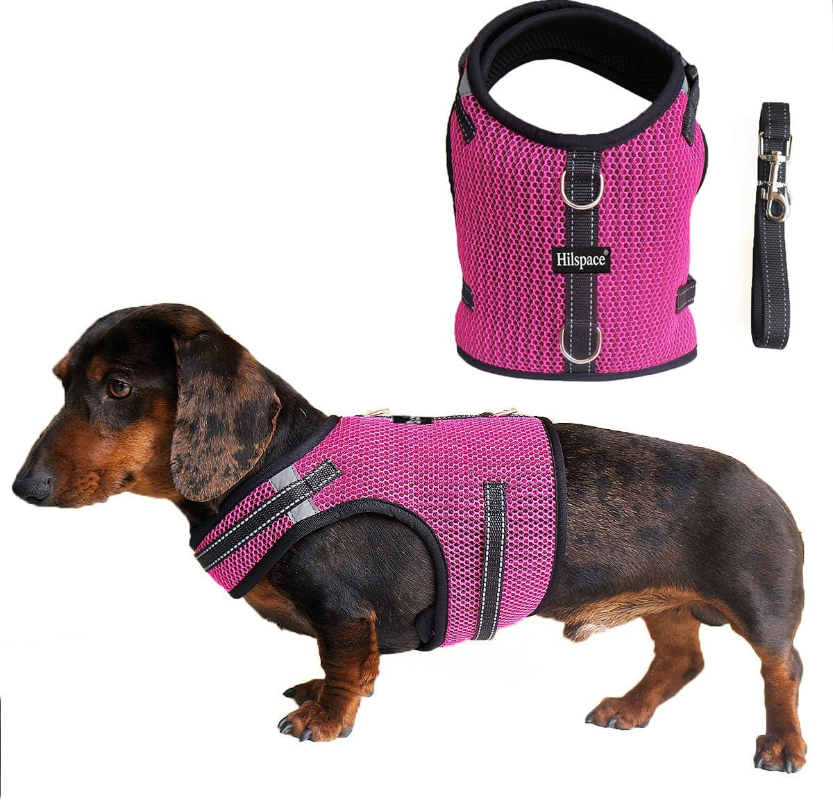 Mini Dachshund Harness – No Armpit Rub, Escape Proof, Reflective, No Pull Vest-Style Dachshunds Harness,Breathable Mesh Dog Harness (Rose Red, S: Chest 32-41Cm (12.5"-16"))