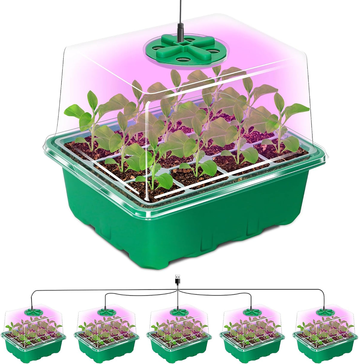 Bonviee Seed Starter Trays with 12-LED Grow Lights, Green, 5 Pack