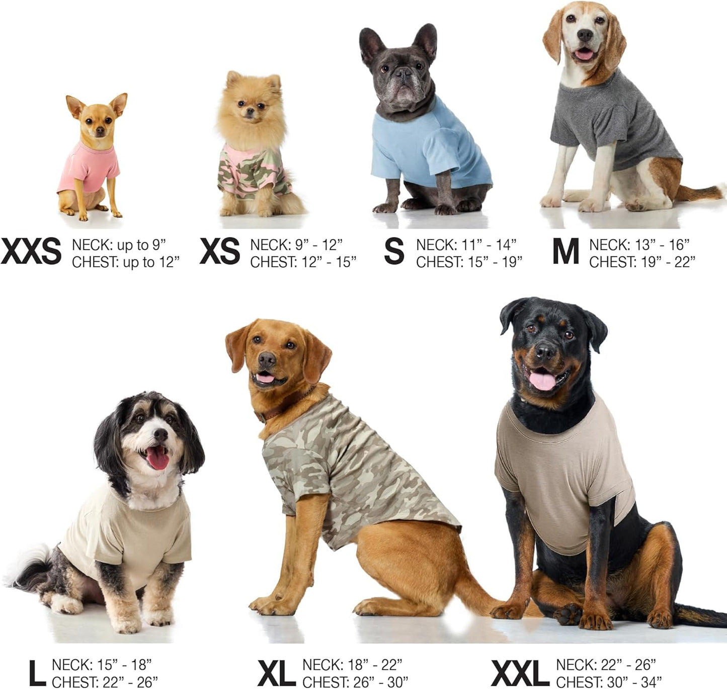 Pet Passion Toby II - the Perfect Tee, 8 Pack Short Sleeve Pet T-Shirt 100% Organic Cotton Tees Clothes for Small, Medium, Large Dogs, Rainbow Blue, Small
