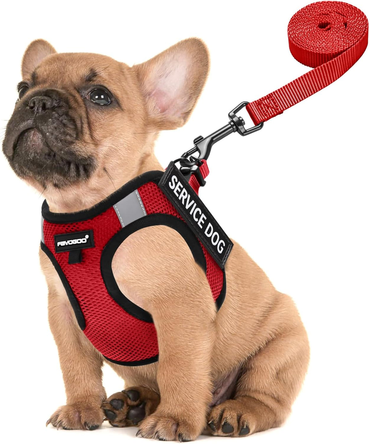 FAYOGOO Service Dog Vest Set for Small Dogs, Mesh Harness and Leash