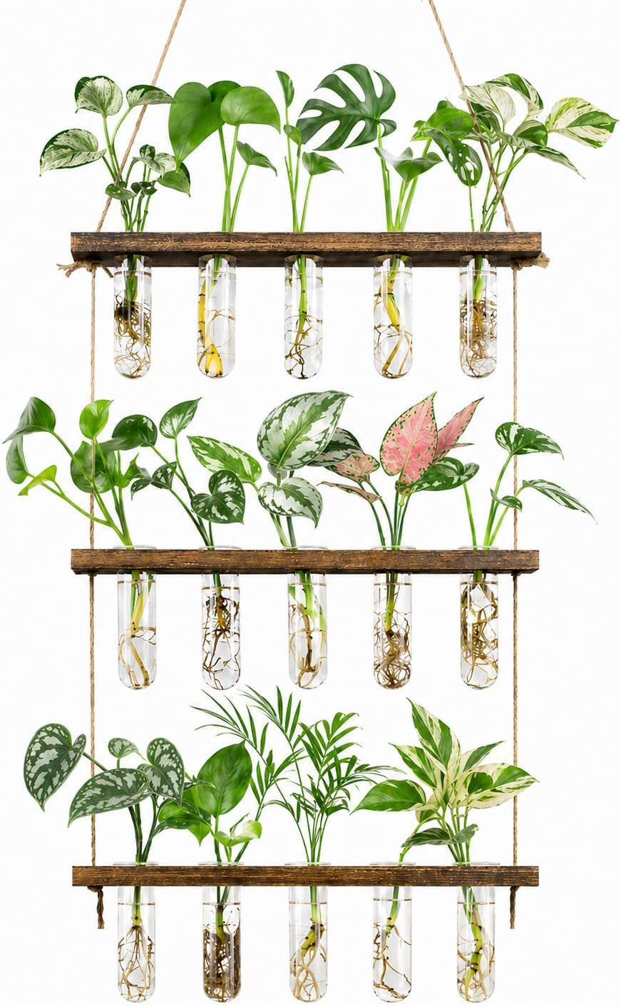 3 Tier Wall Hanging Propagation Stations with 15 Glass Test Tubes, Plant Terrarium Propagation Tubes Planter for Hydroponic Cuttings, Window Decor Gift for Plant Lovers