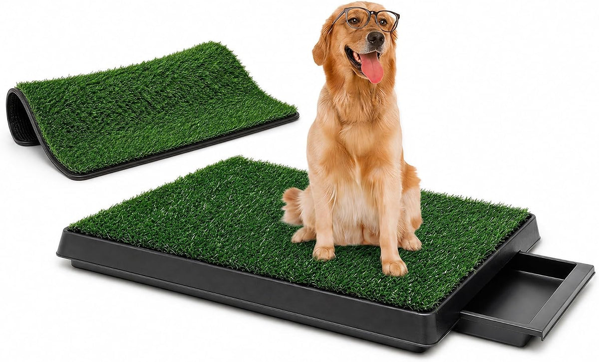 Dog Grass Pad with Tray,30 X 20 in Puppy Potty with 2 Turf Mats