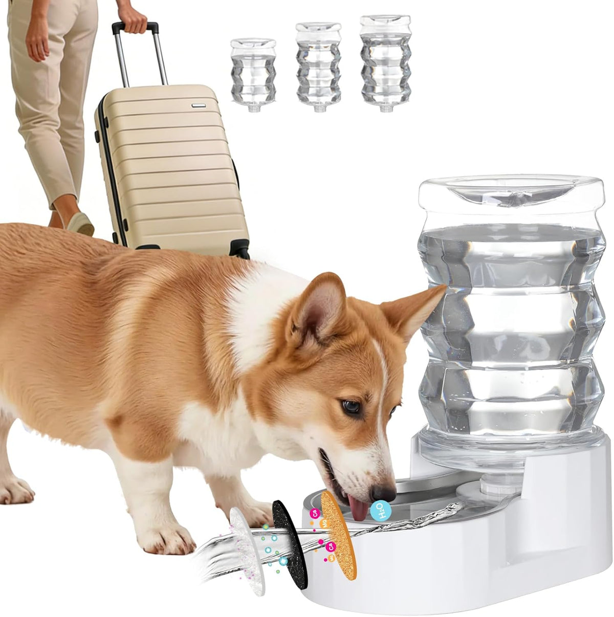 RIZZARI 6.5L Dog Water Dispenser: Filtered for Medium Dogs & Workdays
