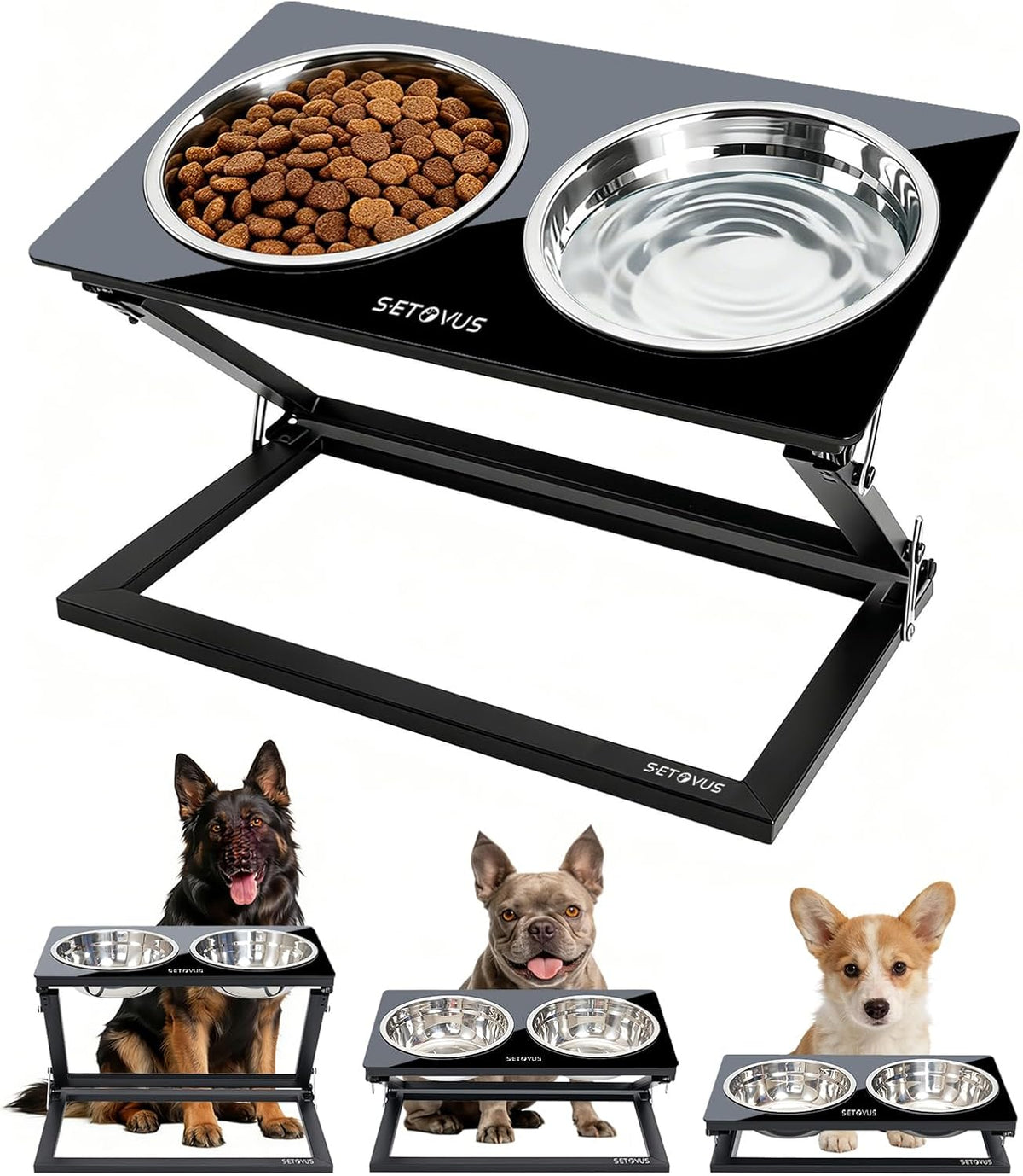 Elevated Dog Bowls, Adjustable Raised Dog Bowl Stand with 2 Stainless Steel Food Bowls 20°Tilted Water Bowls for Small Sized Dogs and Cats (Black, Small)