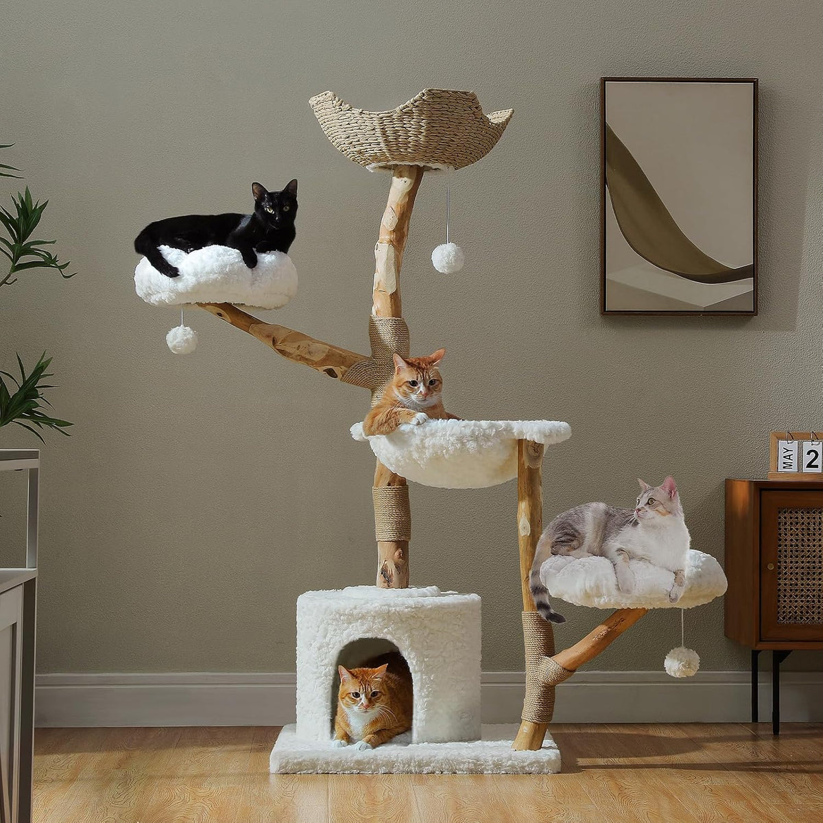 FUKUMARU Cat Wall Shelves Set, 70 Inch Wall Mounted Tree, Beige