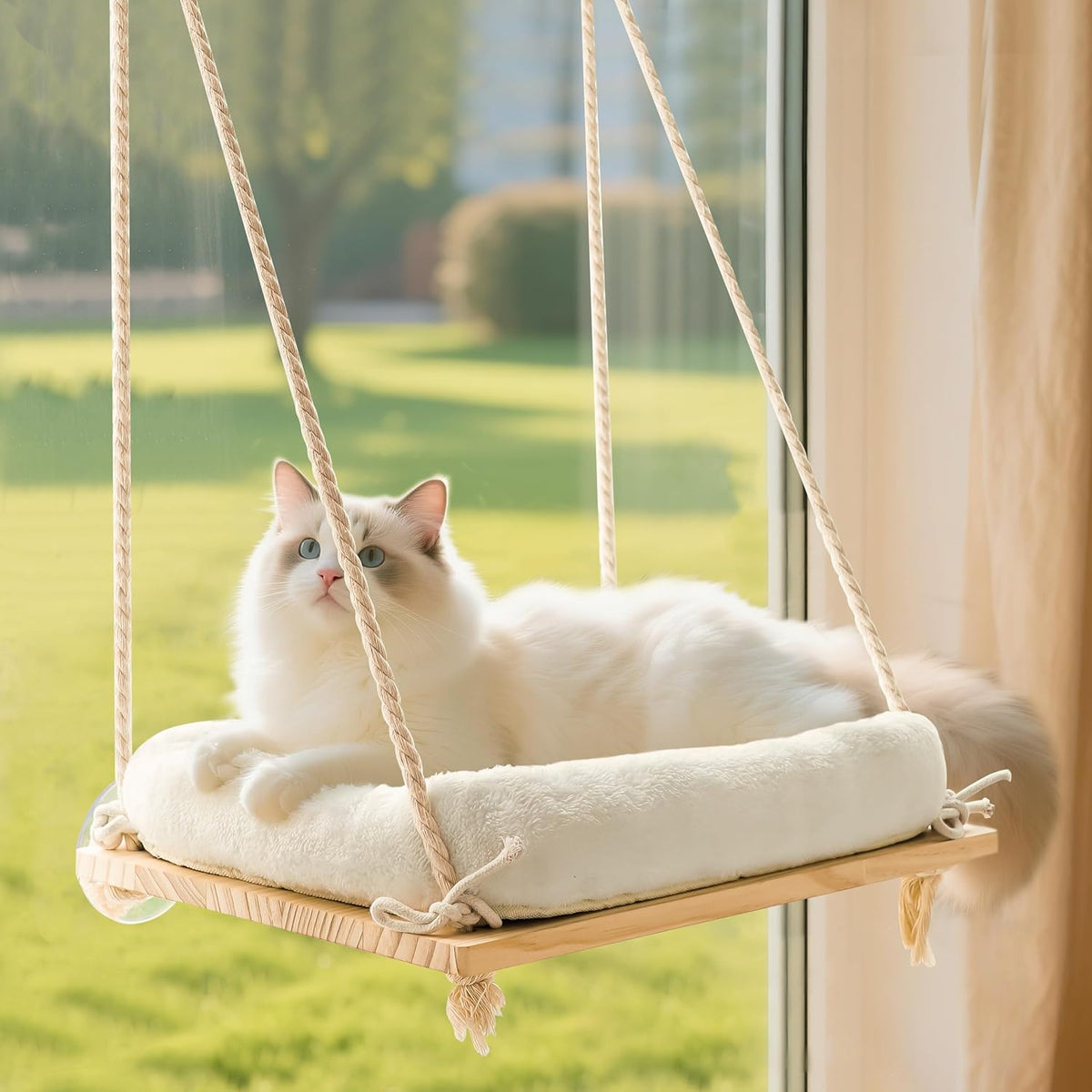 Cat Window Perch Hammock with Solid Wood Seat & Plush Cushion